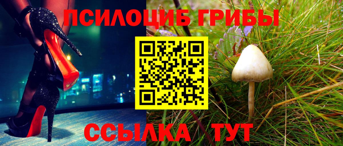 Псилоцибиновые грибы прущие грибы  Вход с VPN  Ревда  Галлюциногенные грибы Magic Shrooms 