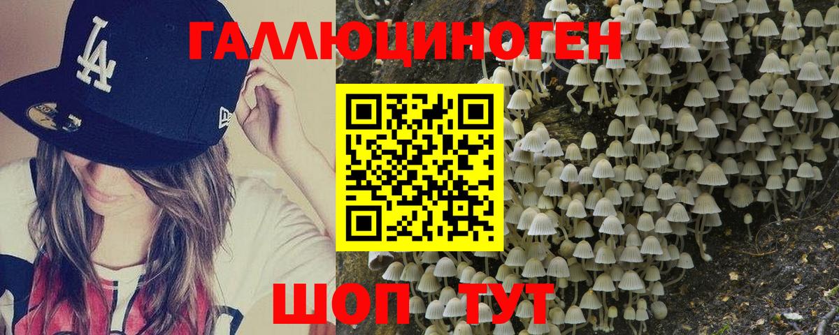 Галлюциногенные грибы Cubensis Ревда